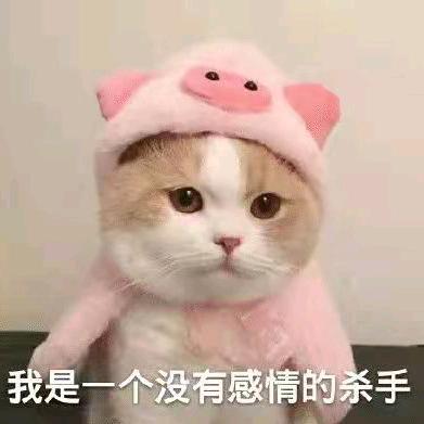 夏天