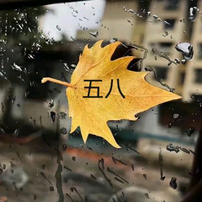 珍爱💞