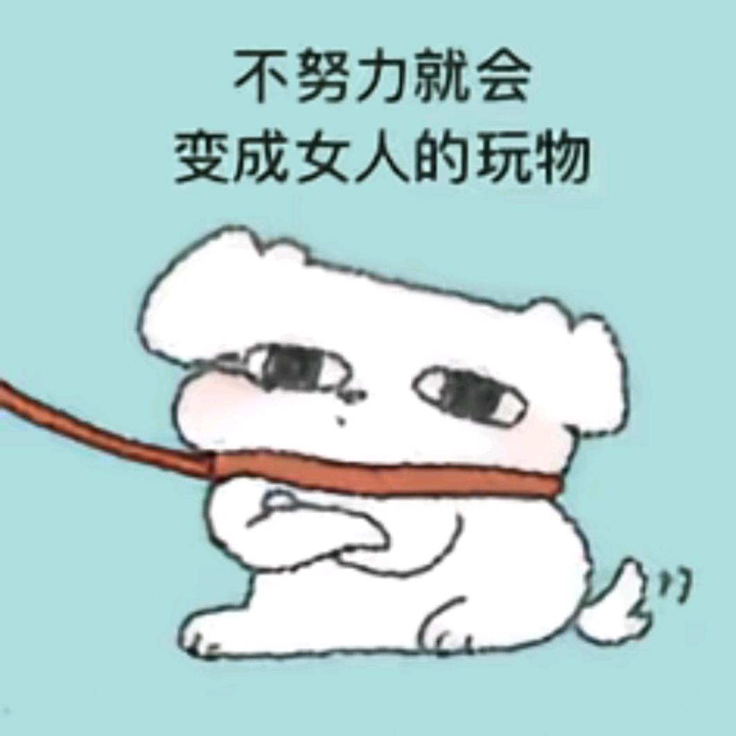 🍮（妆毛一体版）