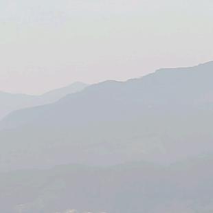 逗逗