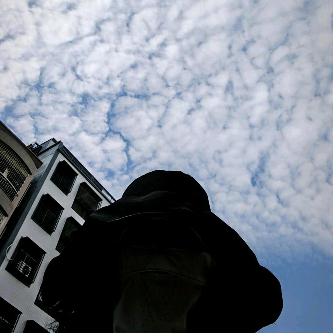 君子兰不是兰花