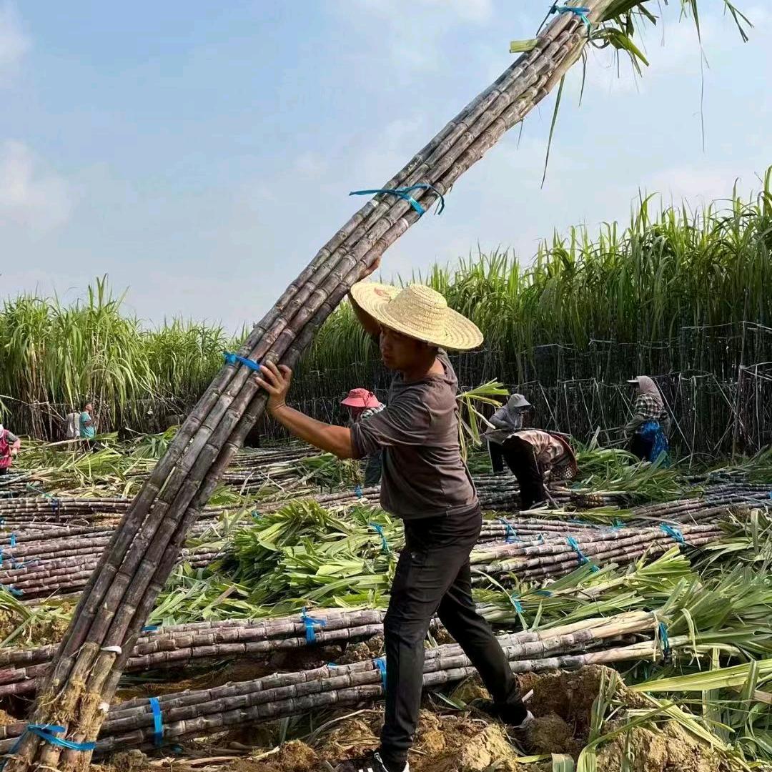 王佳新-承接代卖