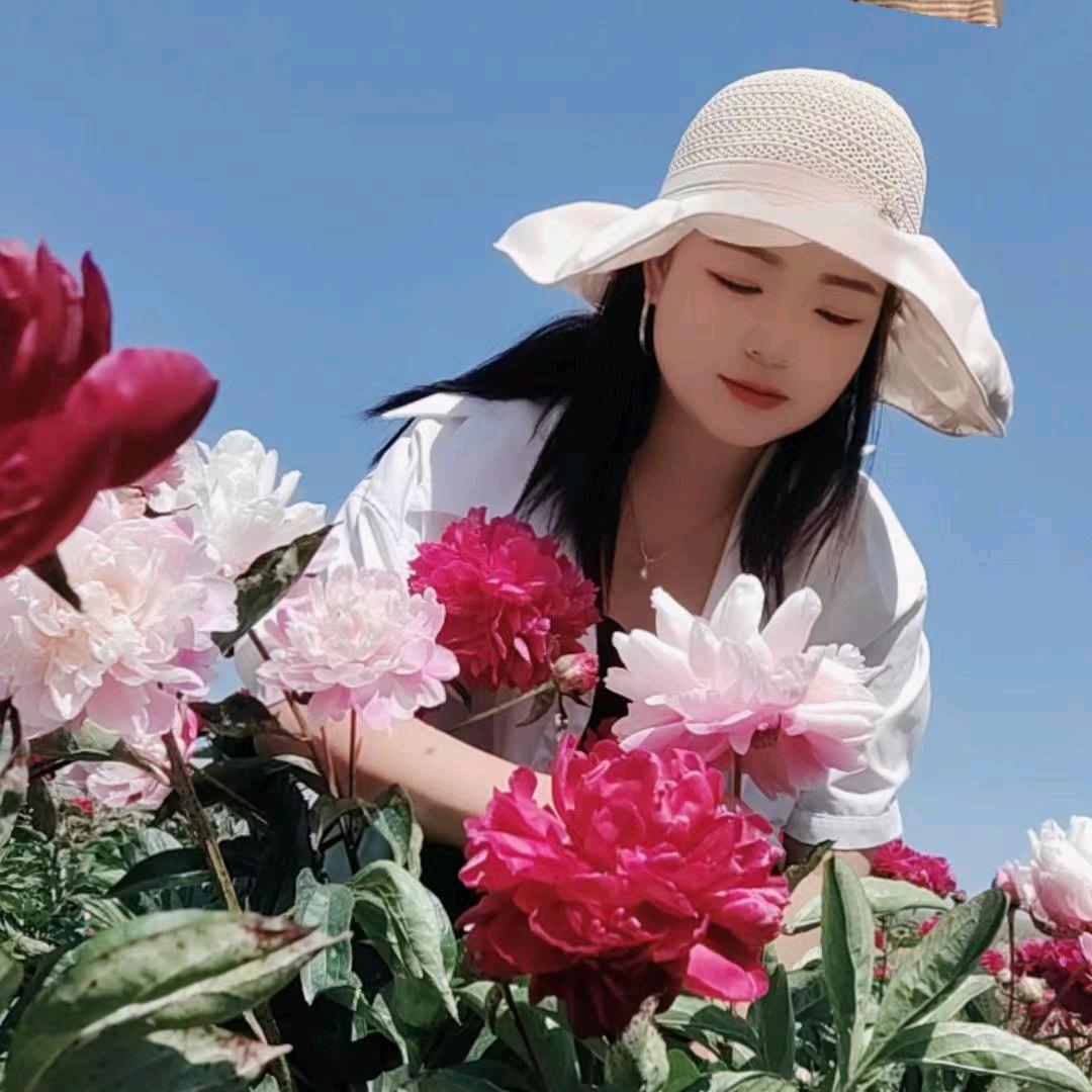 杨姐姐🍀