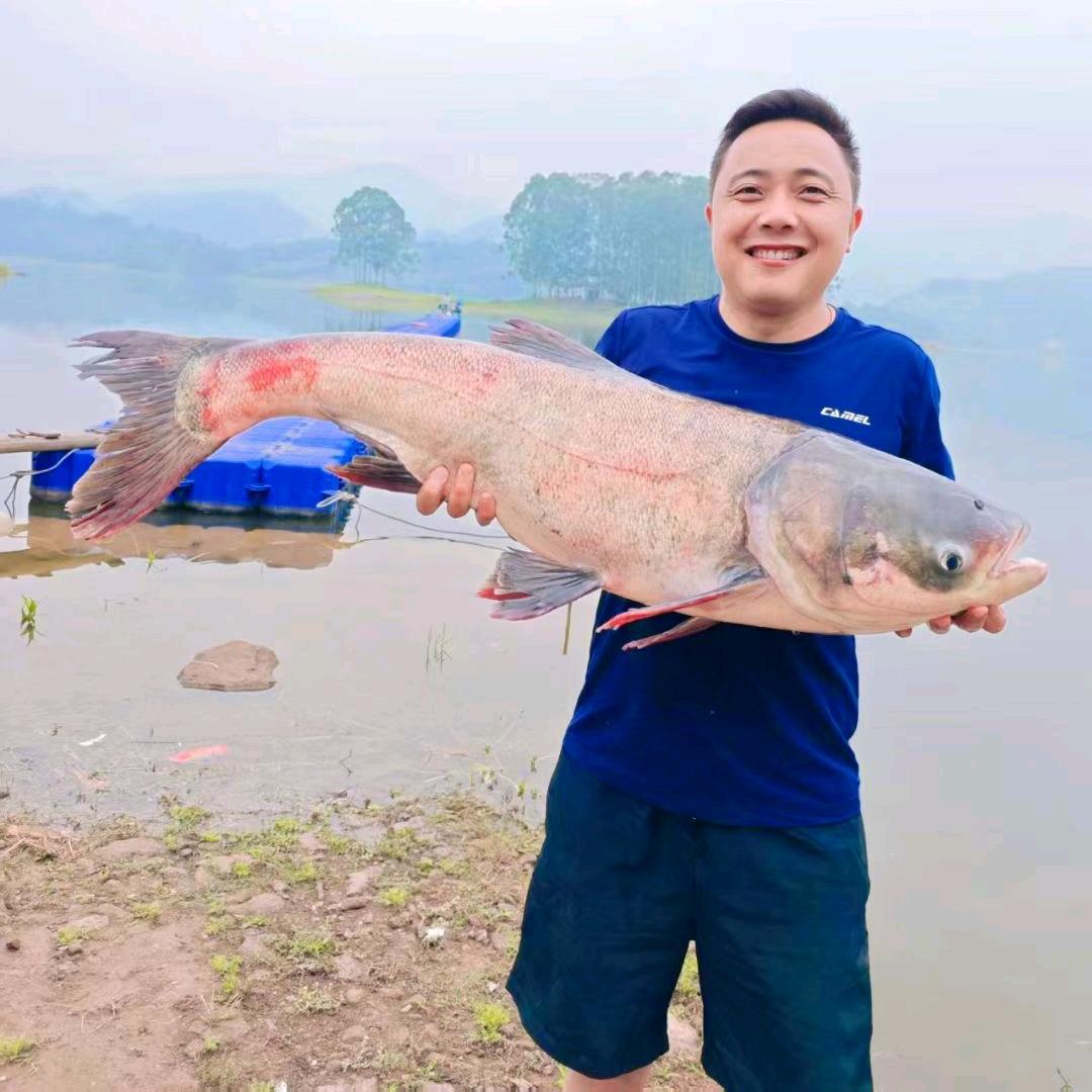 爱吃鱼的军哥哥