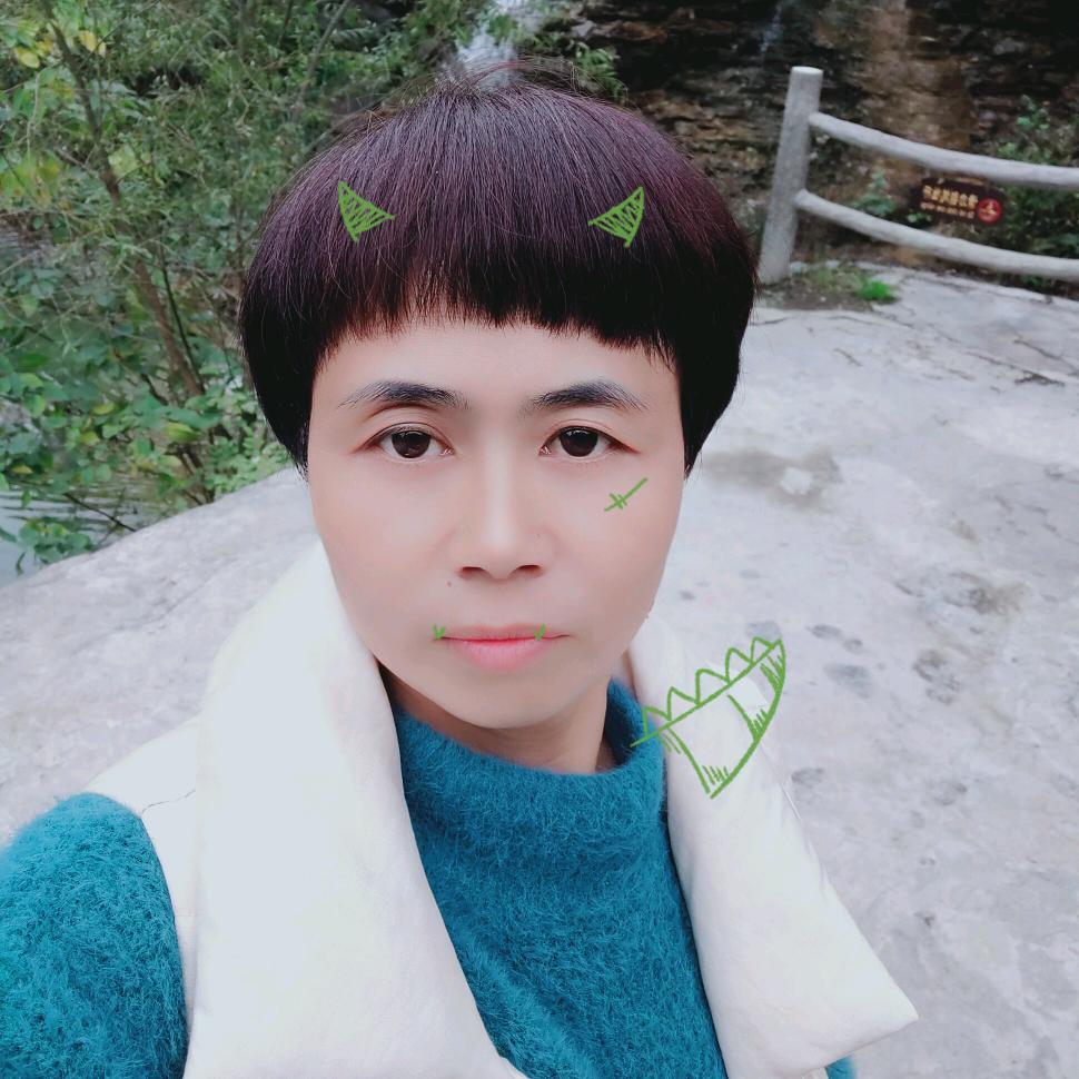 立马电动车(詹店镇店)专用号