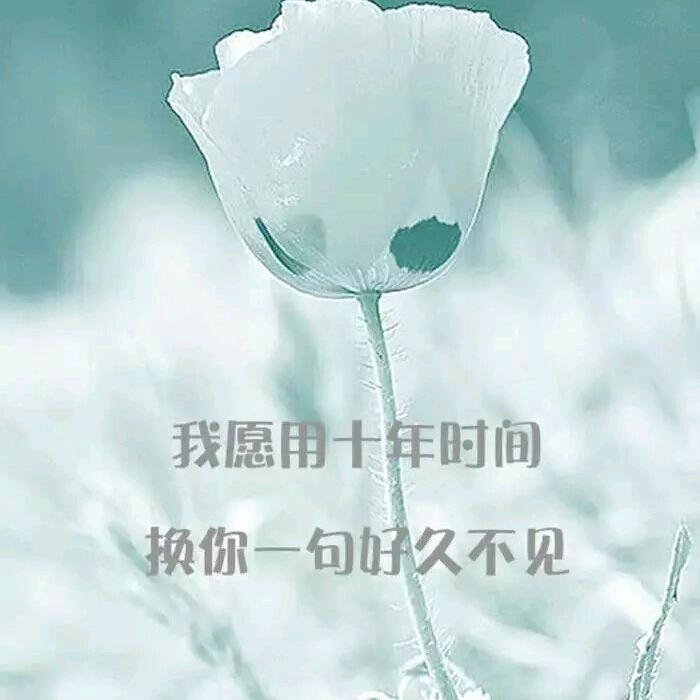 叙哥有故事