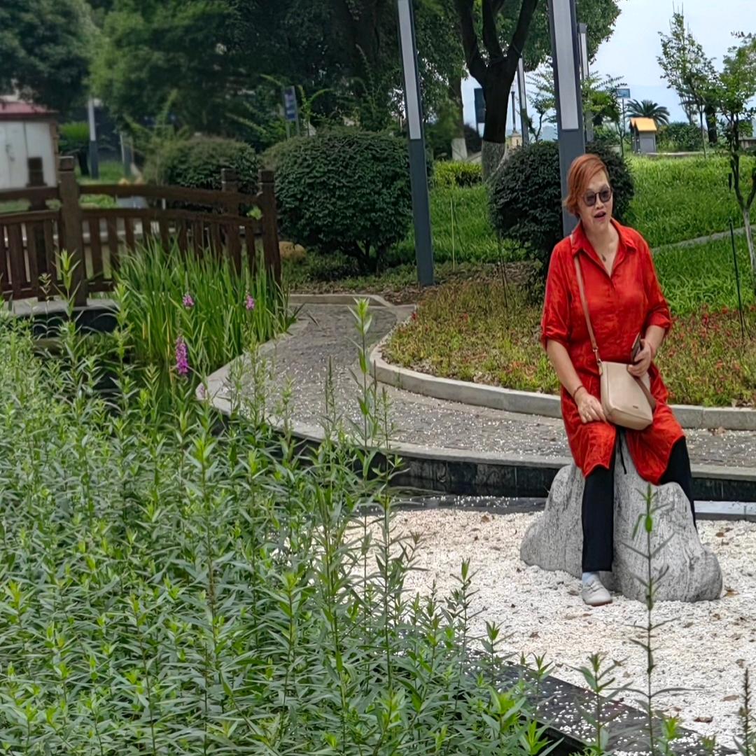 黑牡丹