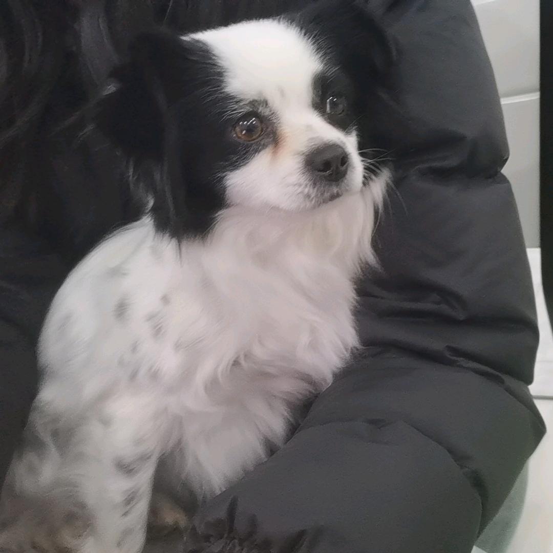 一玖玖柒（唯）