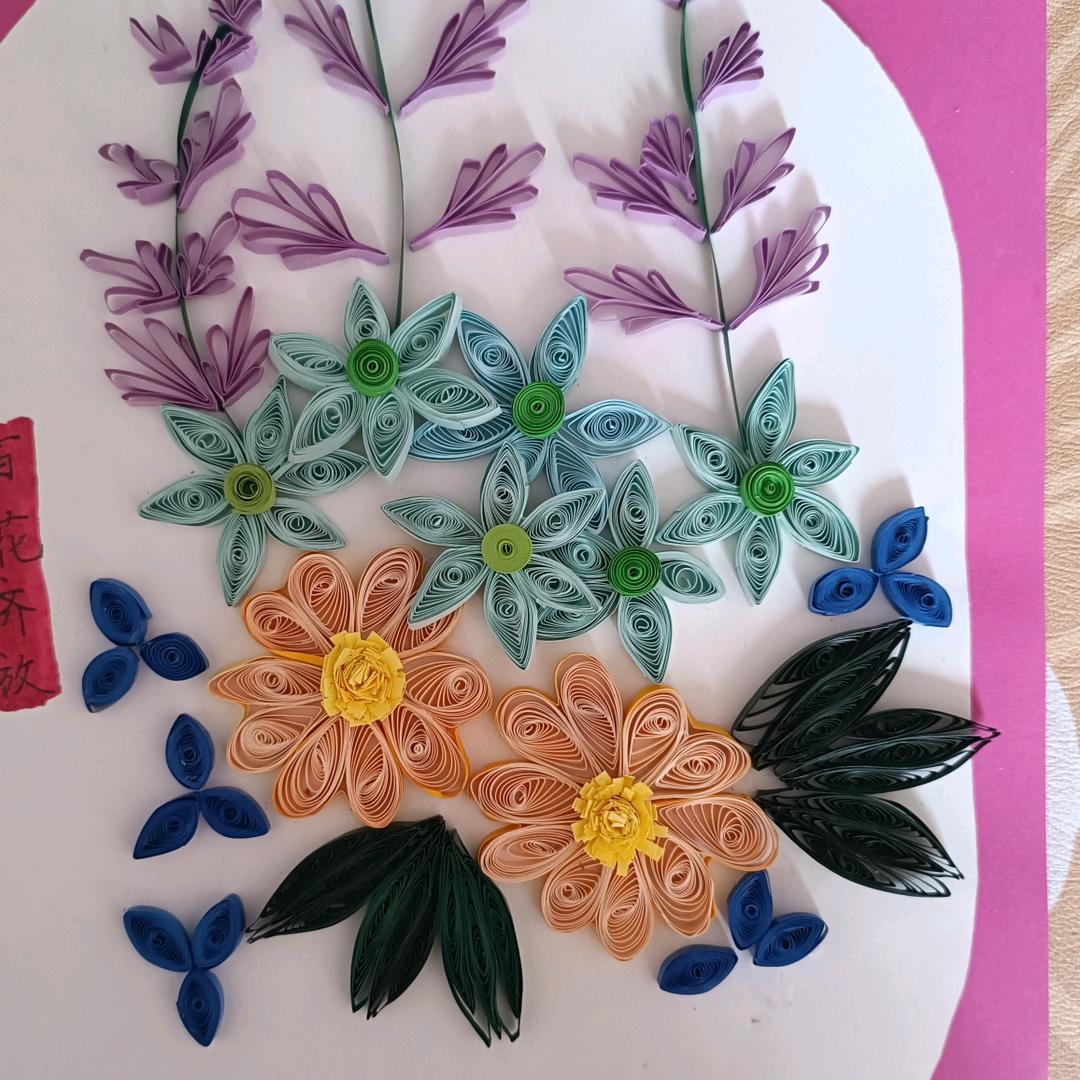 八月菊