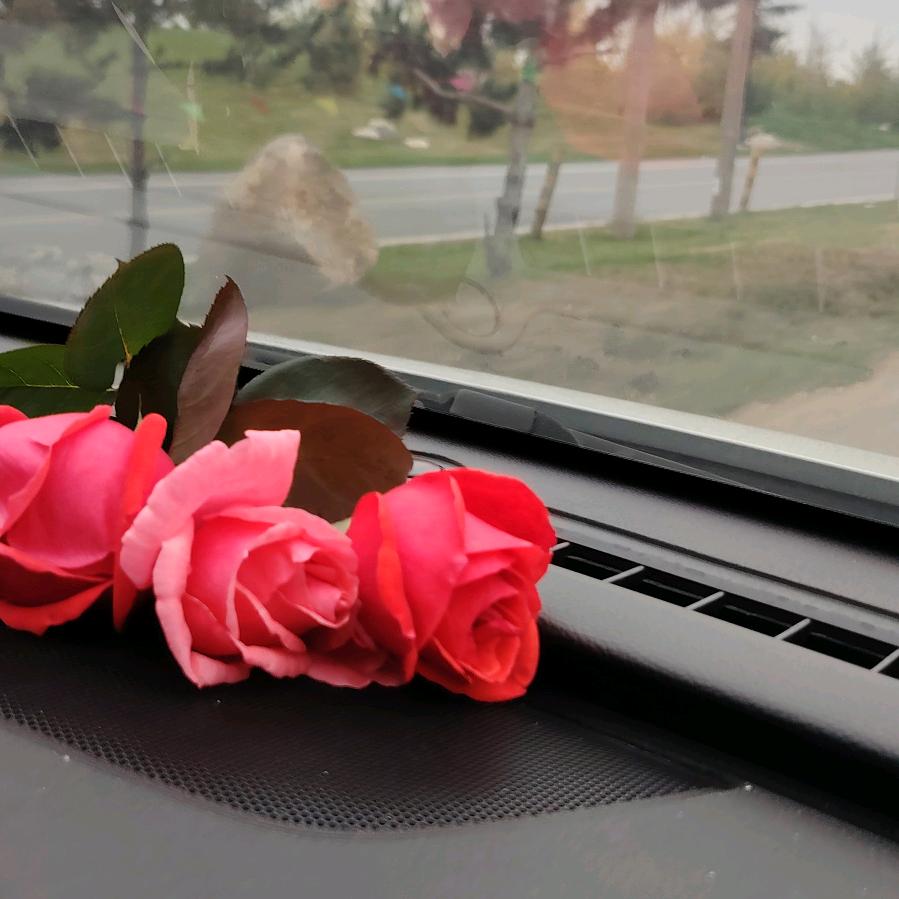 坚持的意义拒私聊