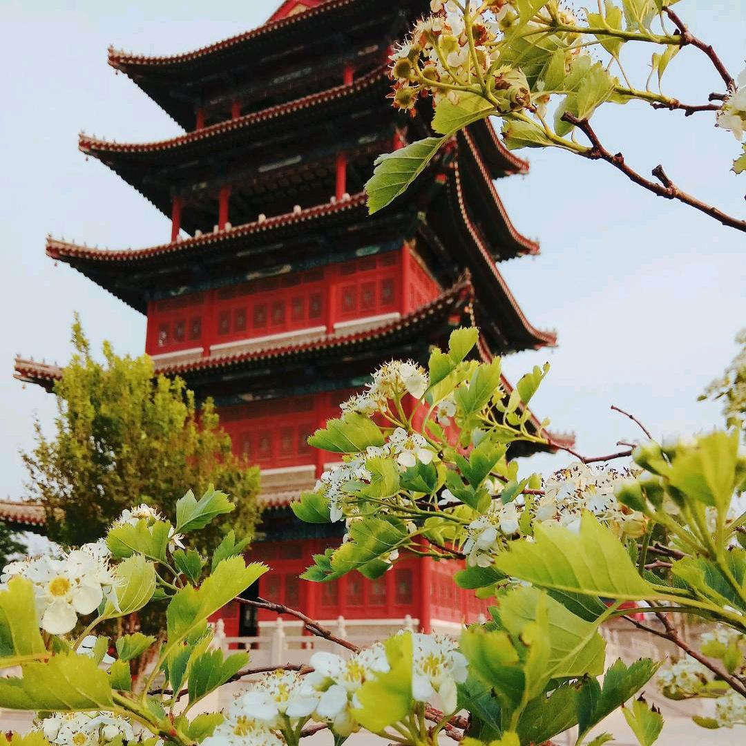 闲趣儿