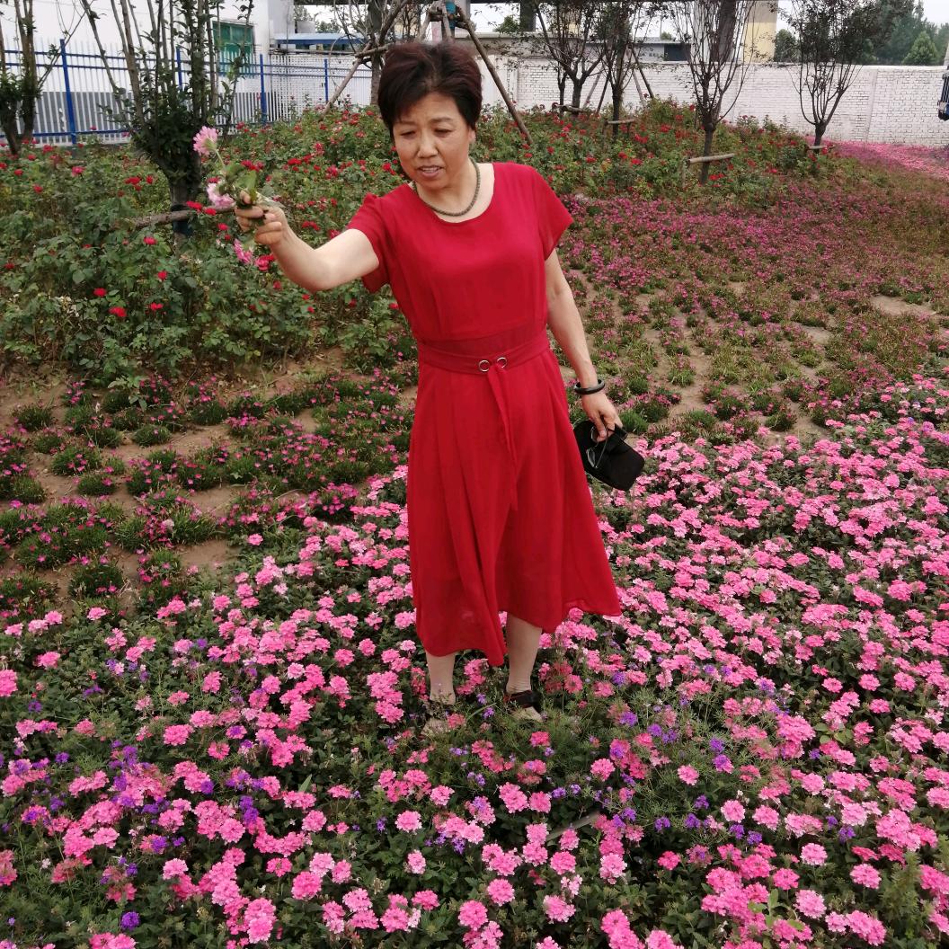 彩云