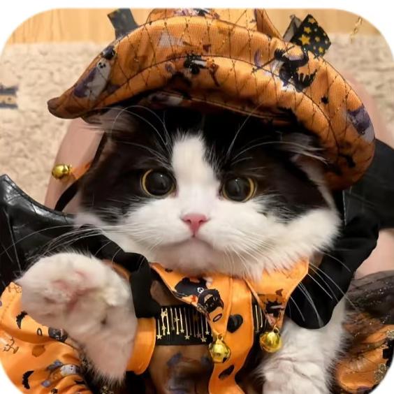 卤香鱼🌾（见过十勤版）