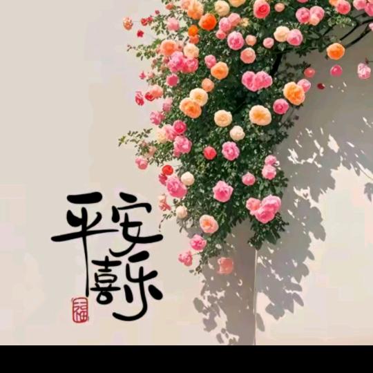 快乐每一生