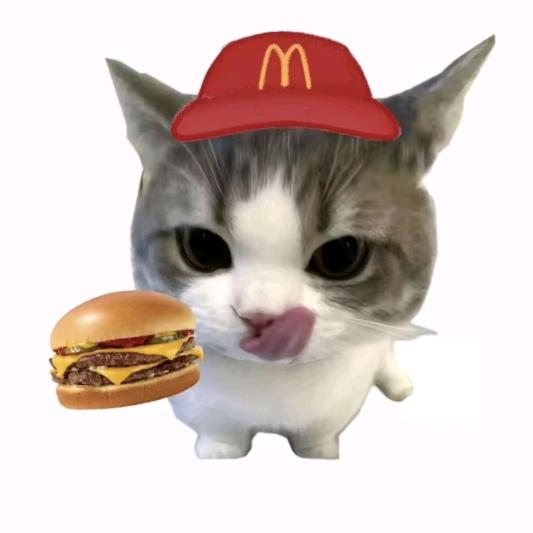 开心的呼噜鱼🐟