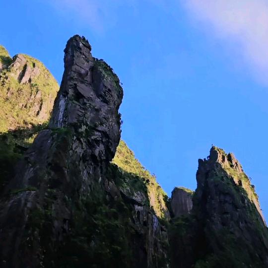 优选—宇之坤