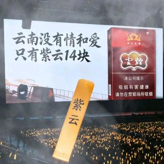 只想念 ☯︎不打扰
