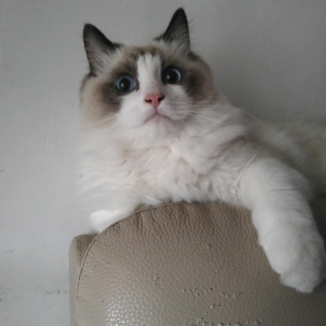 ο▬▬▬▬▬▬◙▇▇▇▇▇▇▇▇▇◤