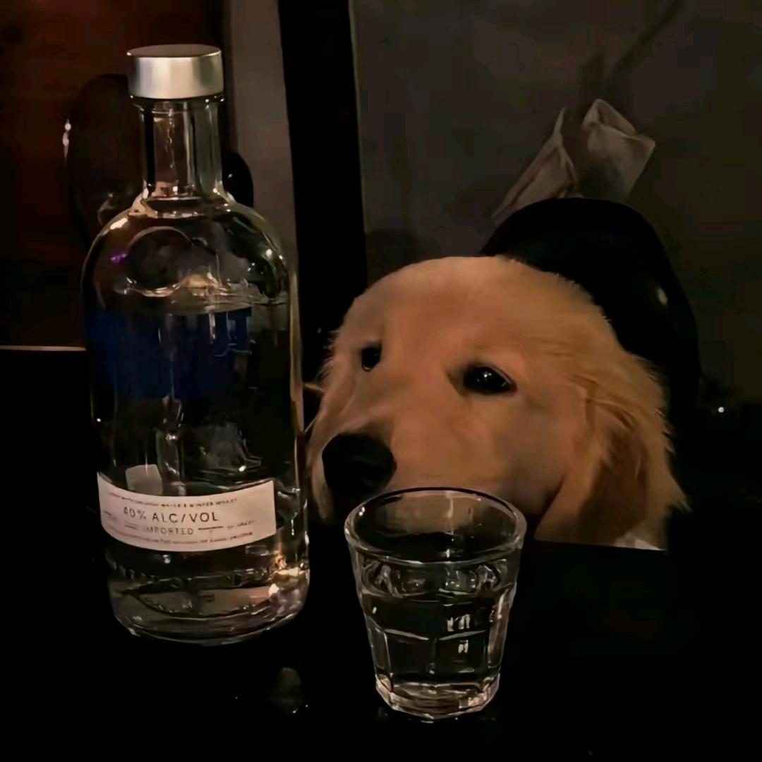 重庆没有情和爱，只有紫云13块