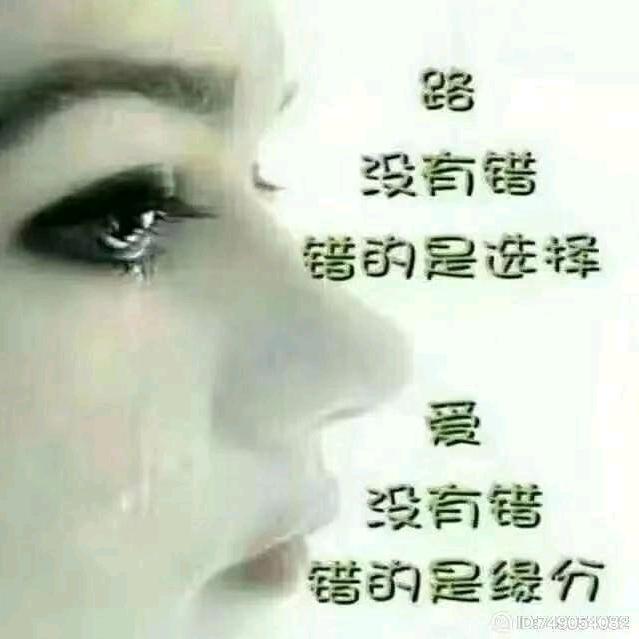一切随缘