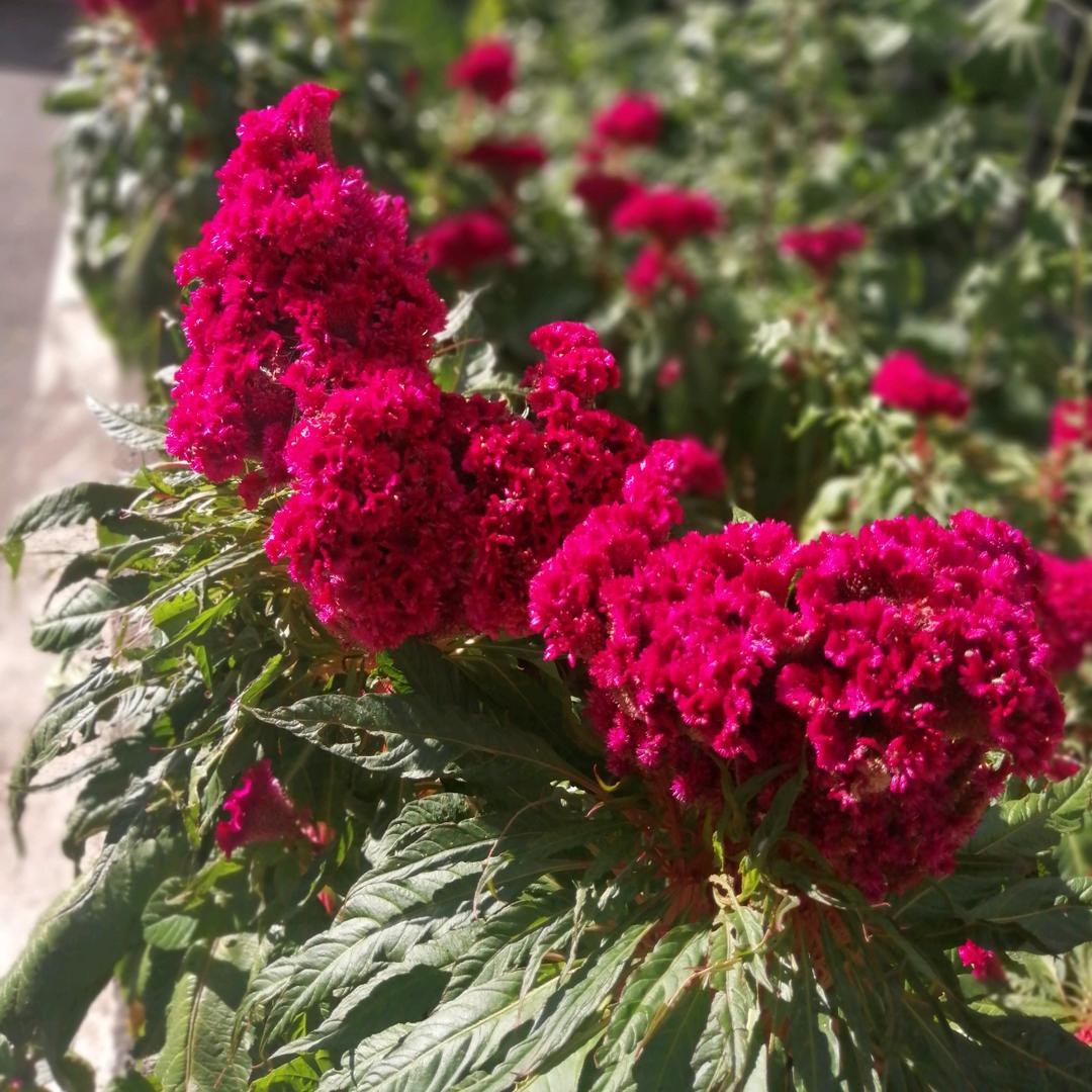 心结就是想不通