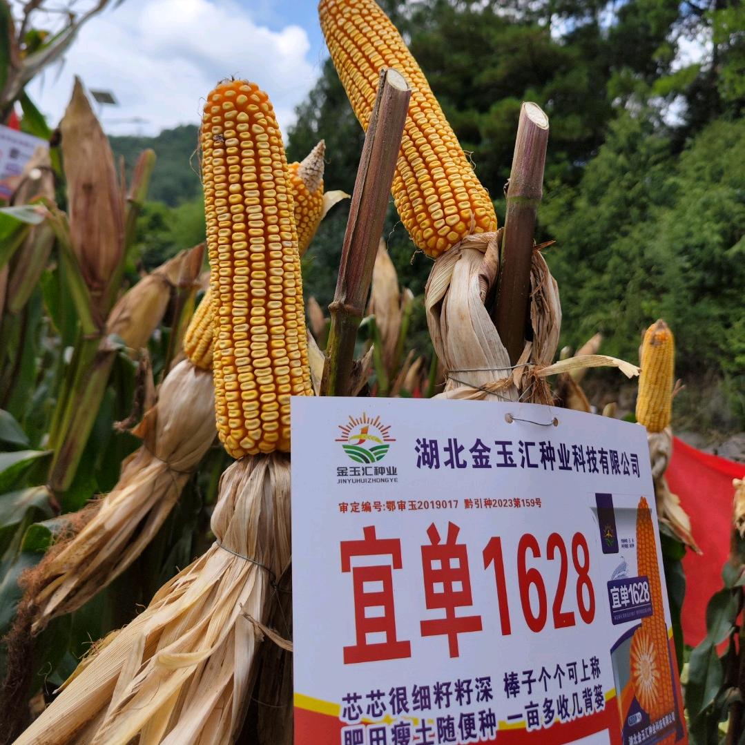 周铭农资农药门市部