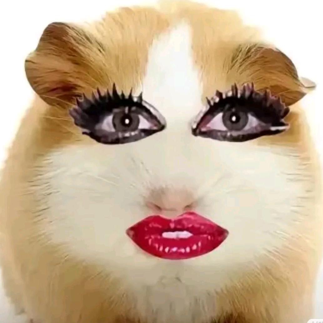猪妞
