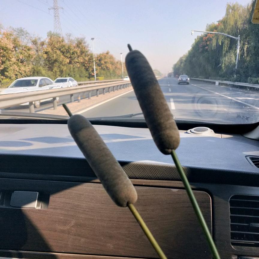 ✨👐蔚然的蓝天👐✨