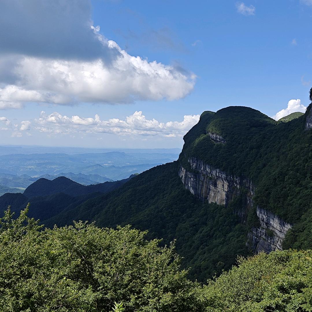满山猴子你腚最红