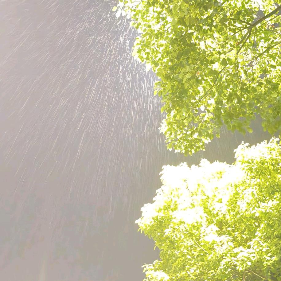 এ᭄:༺欭 ᭄🕊惗᭄ල: ໑ຼ