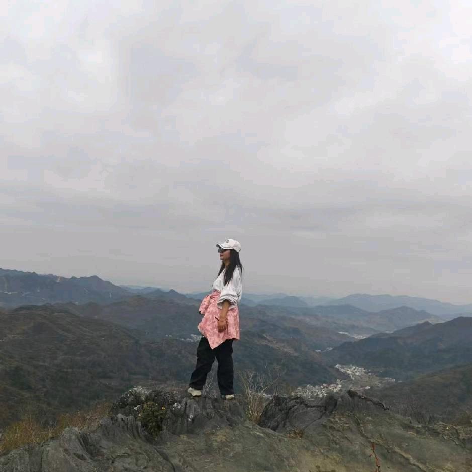 迷糊兔兔