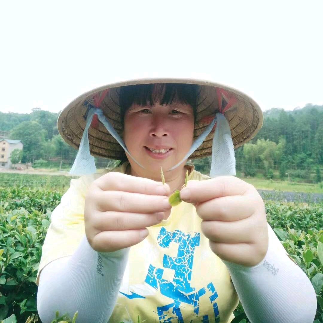 远嫁丽虹姐在福建