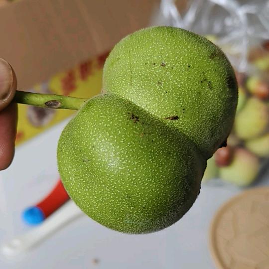 不骑了