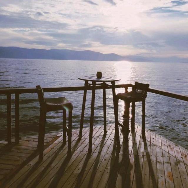 爱吃油麦菜的木子好