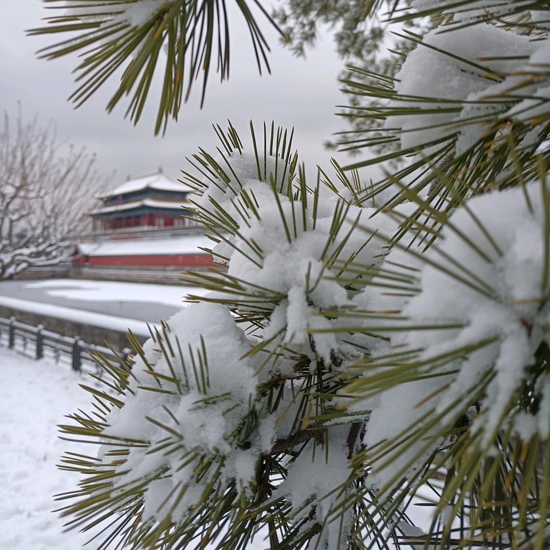 人生海海 迎难而上
