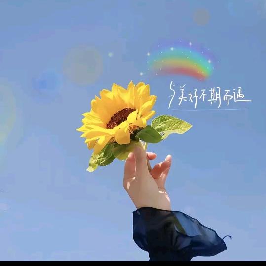 🌈雪🌈