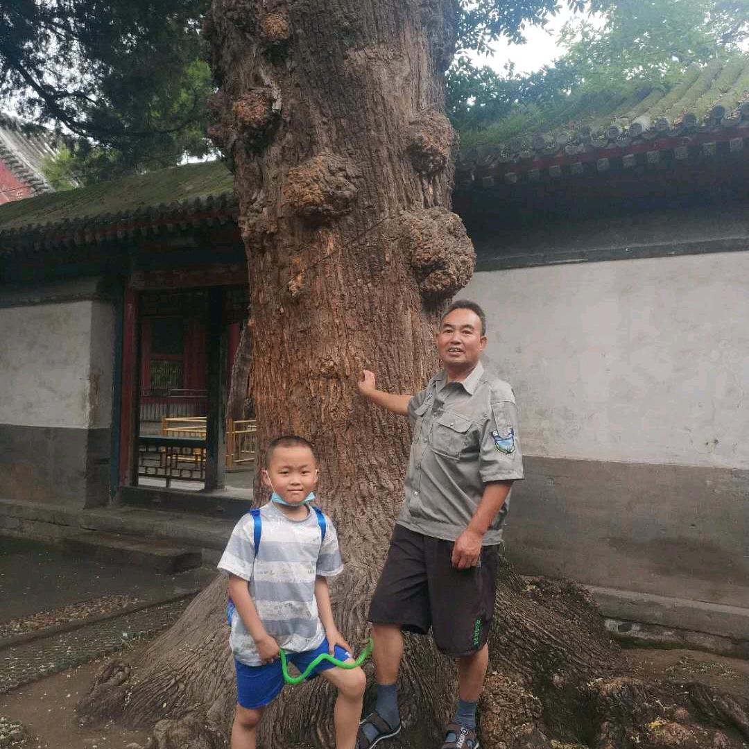 堪舆咨询周先生