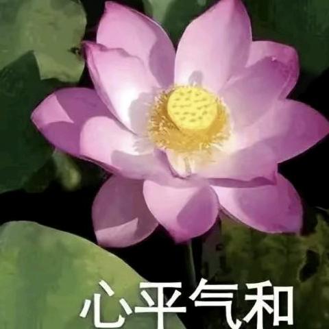 心平气和~