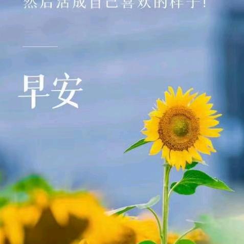 youyou555855