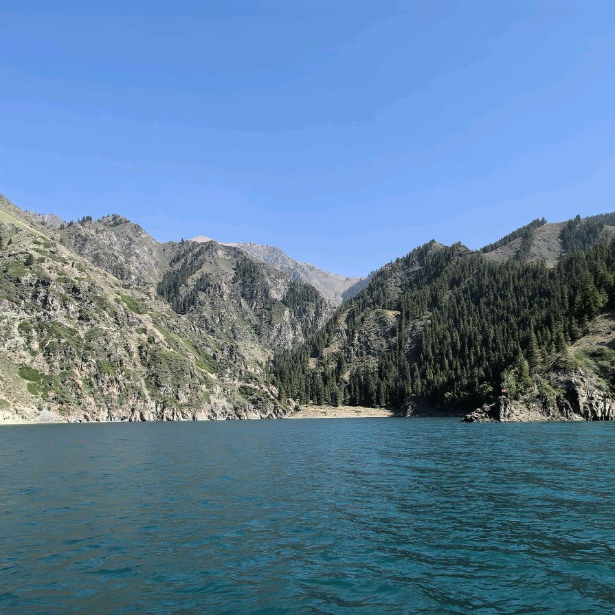 卖向日葵的梵高