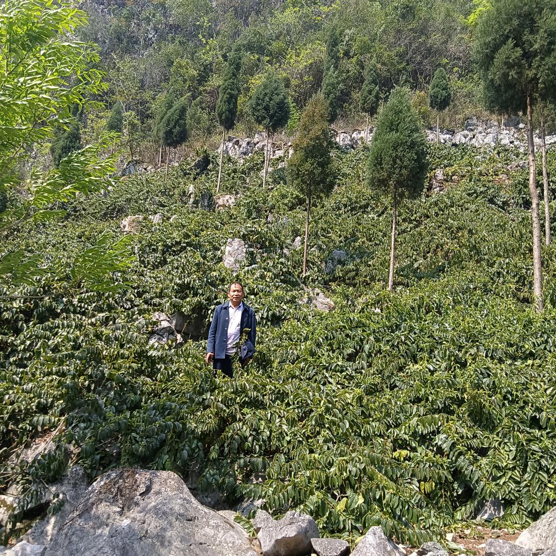 乡村明亮