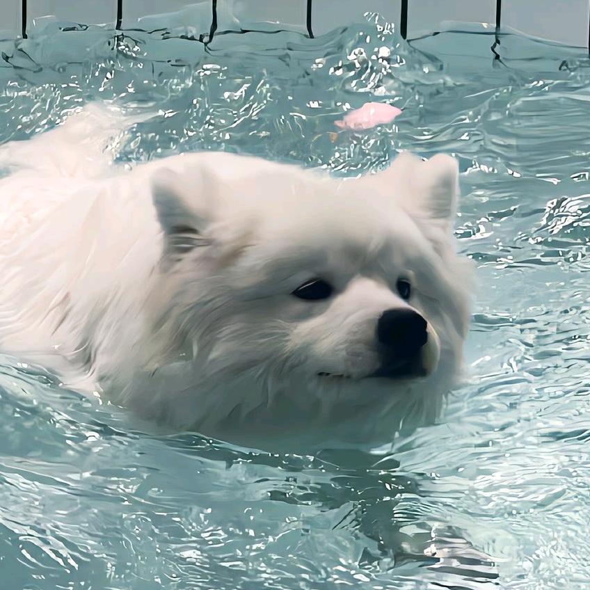 温馨