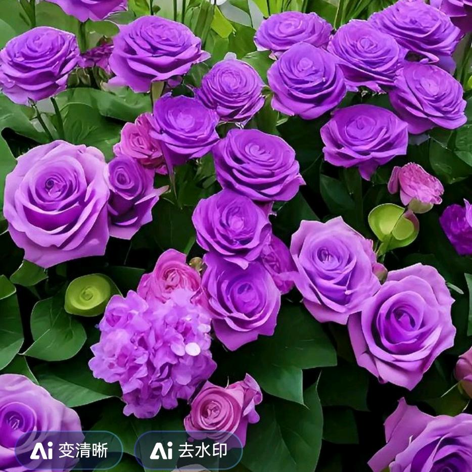 英