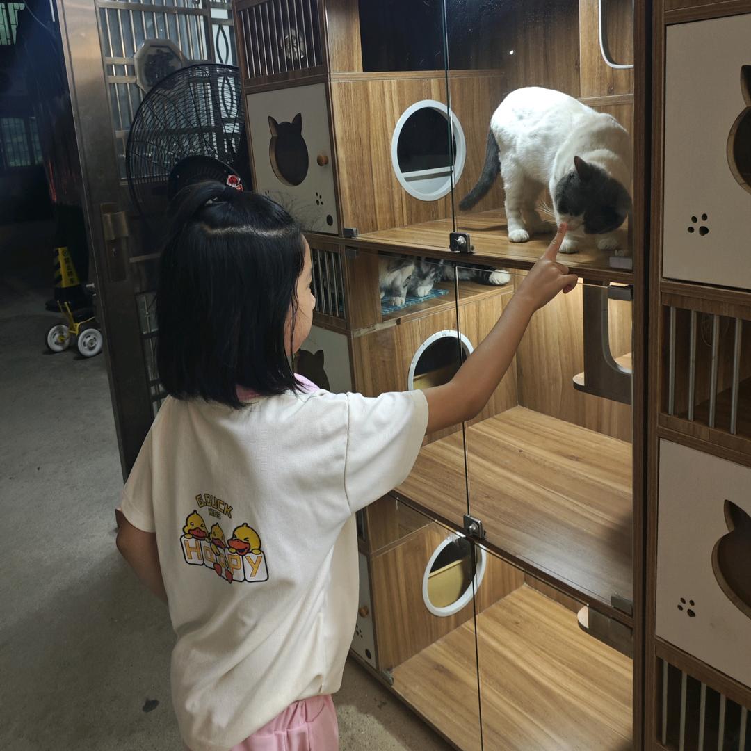 嘉嘉小确幸☀️