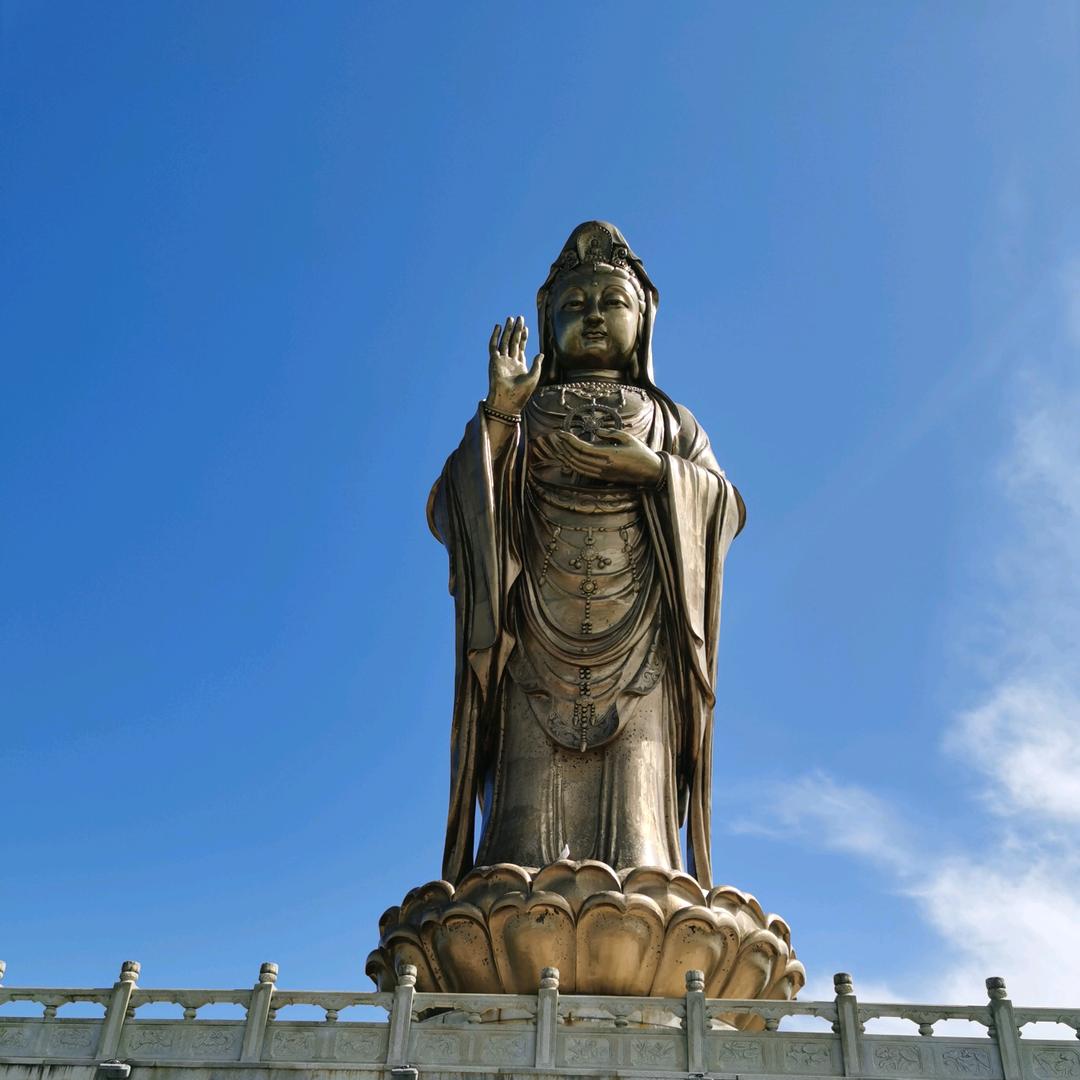 淇淇家人