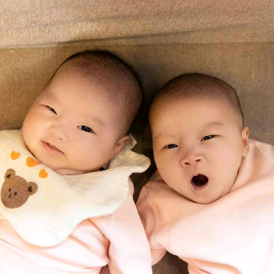 双胞胎安安琪琪