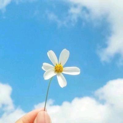 宋家小姐传递正能量