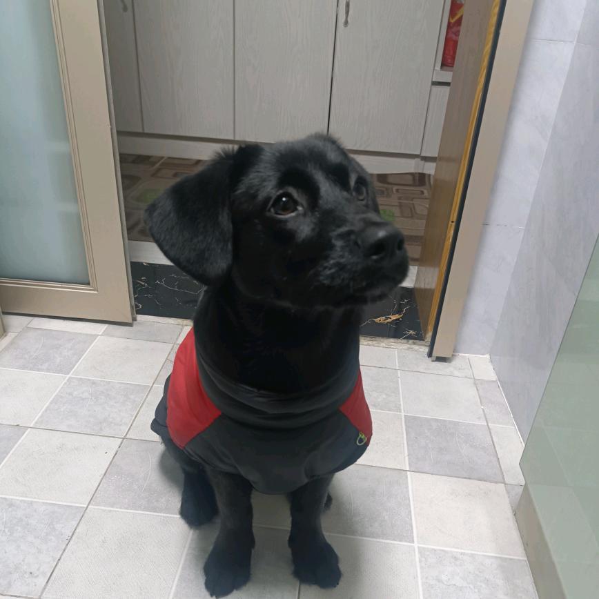 什么也不是