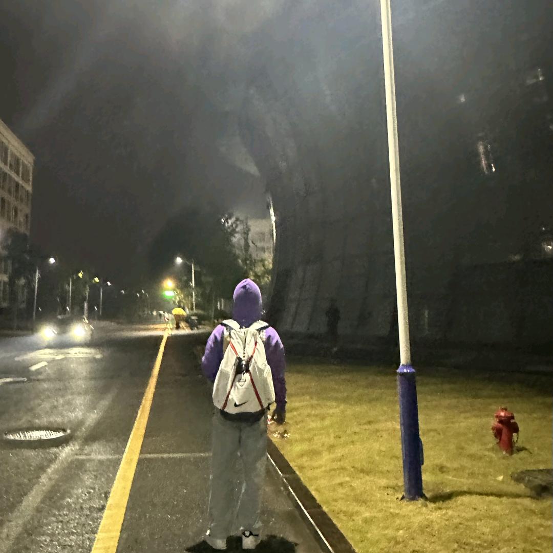 夏天的雨3084