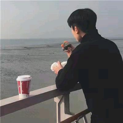 情感顾问初夏